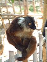 ���� ����